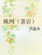 蛛网